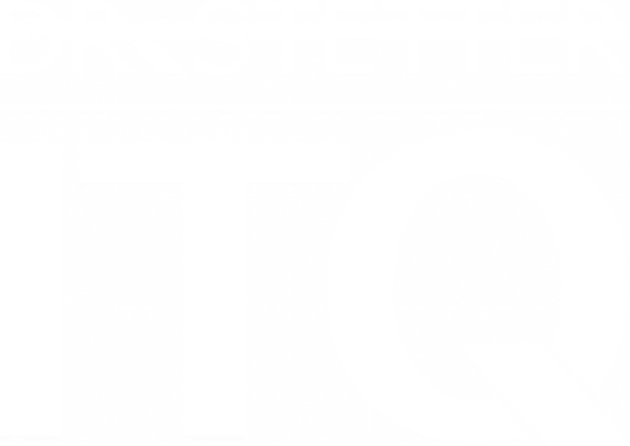 Dr-Stetter-ITQ-Logo-komplett-weiss